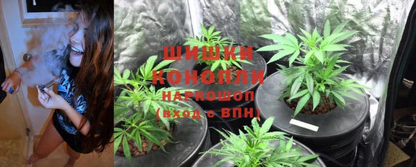 2c-b Белокуриха