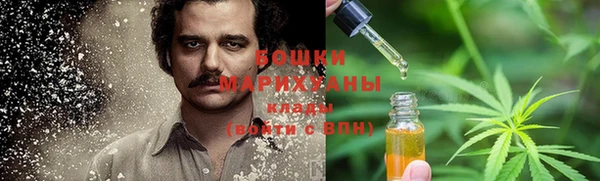 2c-b Белокуриха