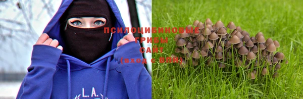 СК Белоозёрский