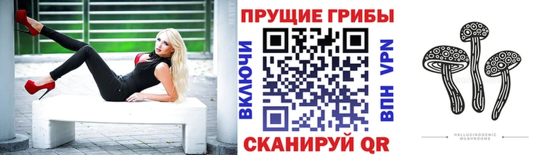 Псилоцибиновые грибы ЛСД  shop клад  Нахабино  гидра зеркало 